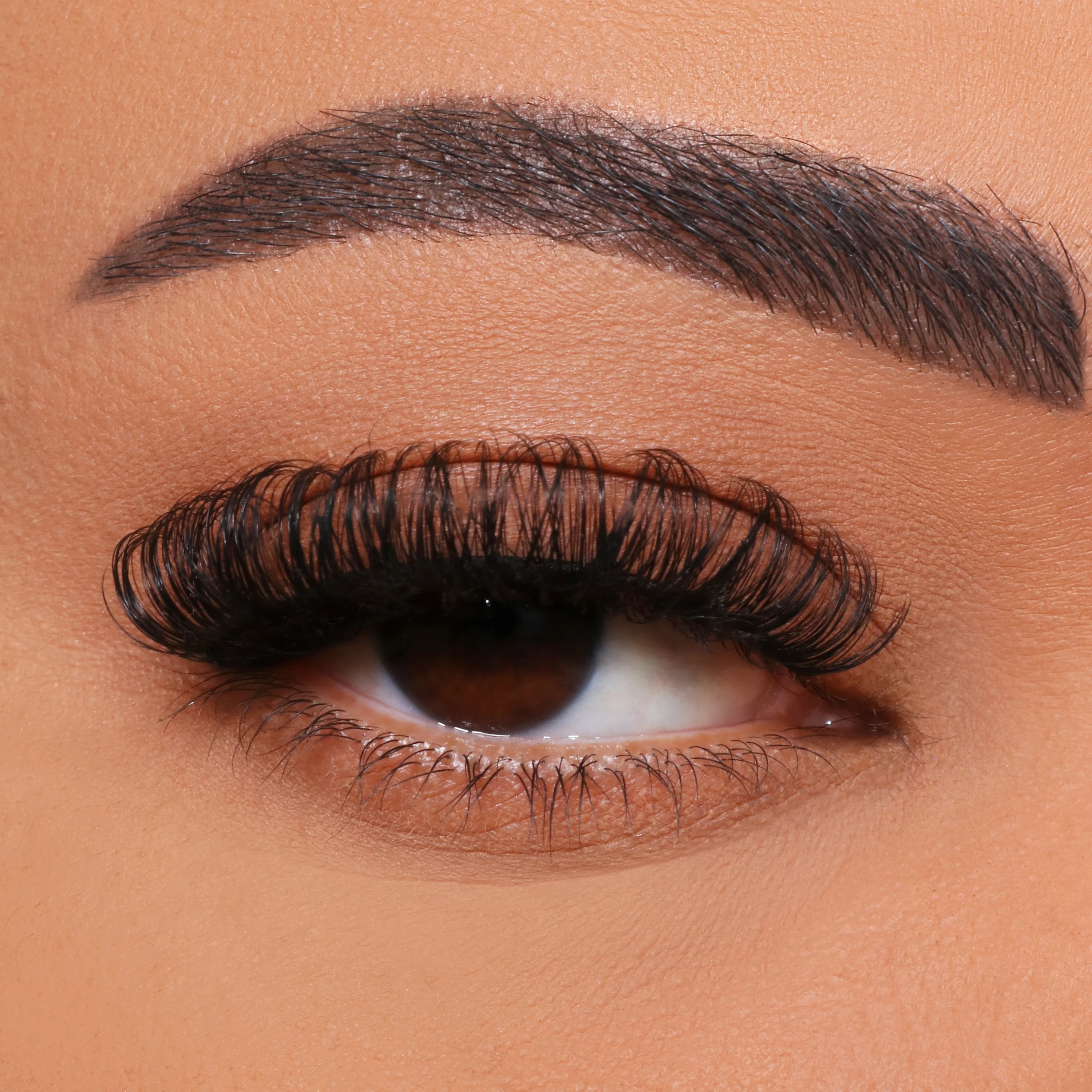 كيفية تطعيم رمش متعدد الأزهار DIY؟